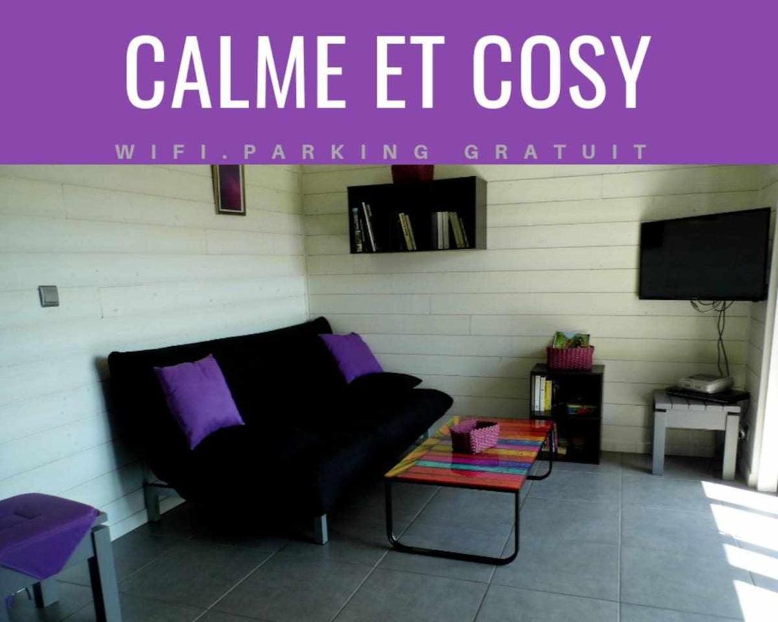 Villa Joli petit T2 calme au bord de leau à Vieille-Brioude Extérieur photo