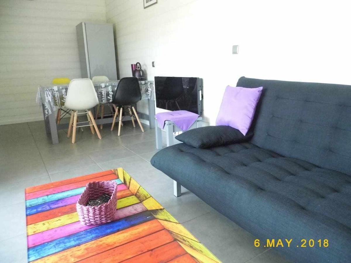 Villa Joli petit T2 calme au bord de leau à Vieille-Brioude Extérieur photo